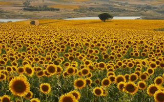 découvrez dimensione natura, un espace dédié à la nature et au bien-être, où vous trouverez des produits écologiques, des conseils pour un mode de vie durable et des idées pour se reconnecter à l'environnement. explorez nos collections et laissez-vous inspirer par la beauté naturelle.