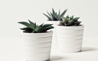 découvrez des idées inspirantes, des conseils pratiques et les dernières tendances pour transformer votre intérieur avec style et élégance. tout sur la décoration pour chaque pièce, du salon à la chambre.