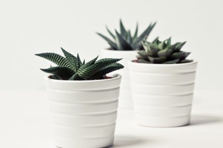 découvrez des idées inspirantes, des conseils pratiques et les dernières tendances pour transformer votre intérieur avec style et élégance. tout sur la décoration pour chaque pièce, du salon à la chambre.