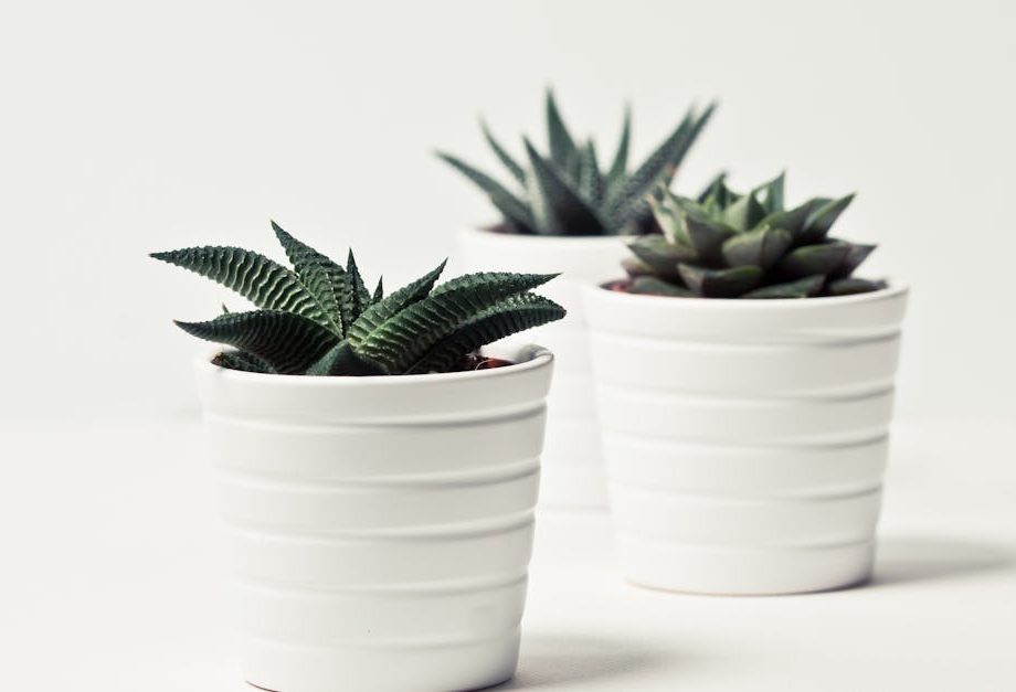découvrez des idées inspirantes, des conseils pratiques et les dernières tendances pour transformer votre intérieur avec style et élégance. tout sur la décoration pour chaque pièce, du salon à la chambre.