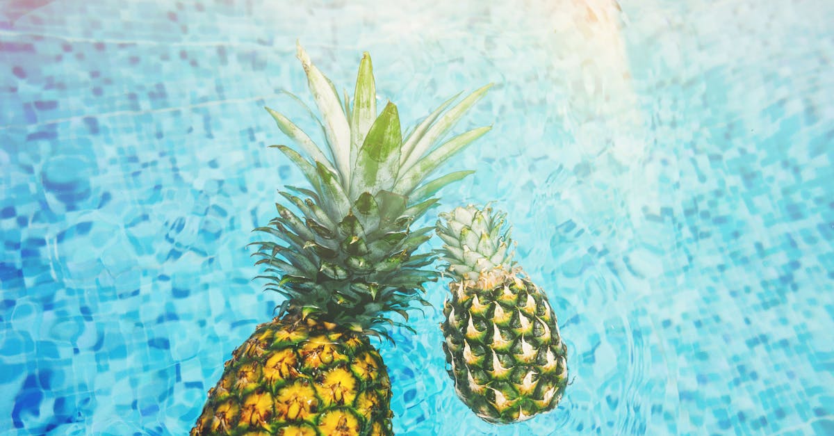 découvrez les bienfaits du soleil pour la santé : stimulation de la vitamine d, amélioration de l’humeur et renforcement du système immunitaire. profitez du soleil de manière saine et équilibrée.