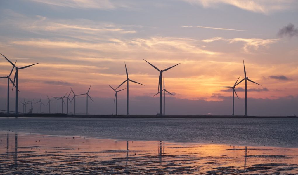 découvrez comment adopter des pratiques durables pour préserver l’environnement, réduire votre empreinte écologique et contribuer à un avenir plus responsable et équilibré.