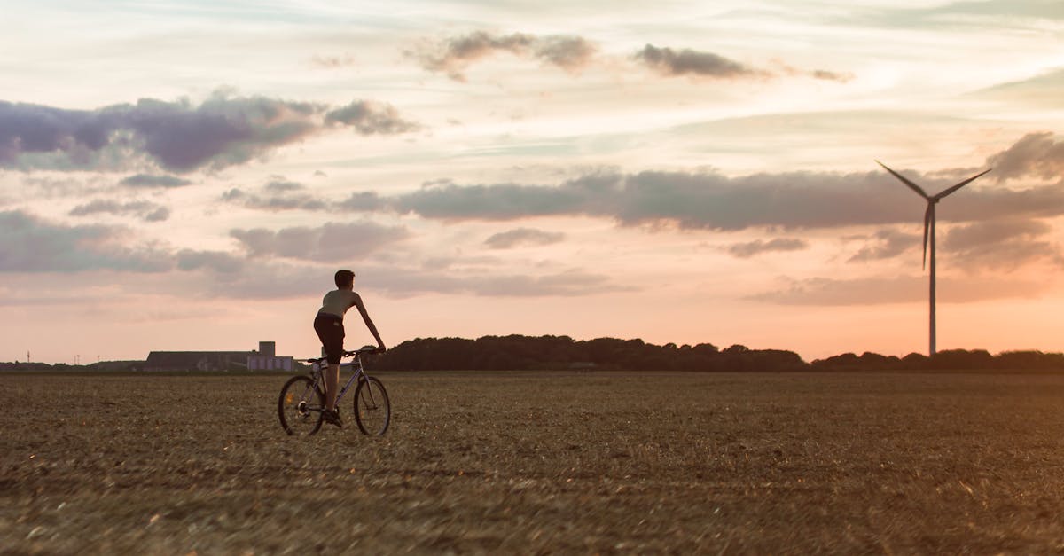 découvrez comment la durabilité façonne un avenir plus responsable, respectueux de l'environnement et bénéfique pour la société. adoptez des pratiques écoresponsables pour un impact positif durable.