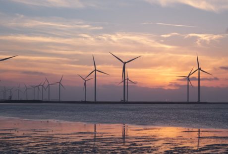 découvrez comment adopter des pratiques durables pour préserver l’environnement, réduire votre empreinte écologique et contribuer à un avenir plus responsable et équilibré.