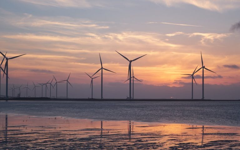 découvrez comment adopter des pratiques durables pour préserver l’environnement, réduire votre empreinte écologique et contribuer à un avenir plus responsable et équilibré.
